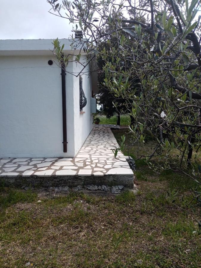 Villa Lupino 奥罗塞伊 外观 照片
